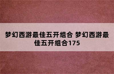 梦幻西游最佳五开组合 梦幻西游最佳五开组合175